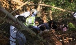 石城爆料伤人视频,真相与反思